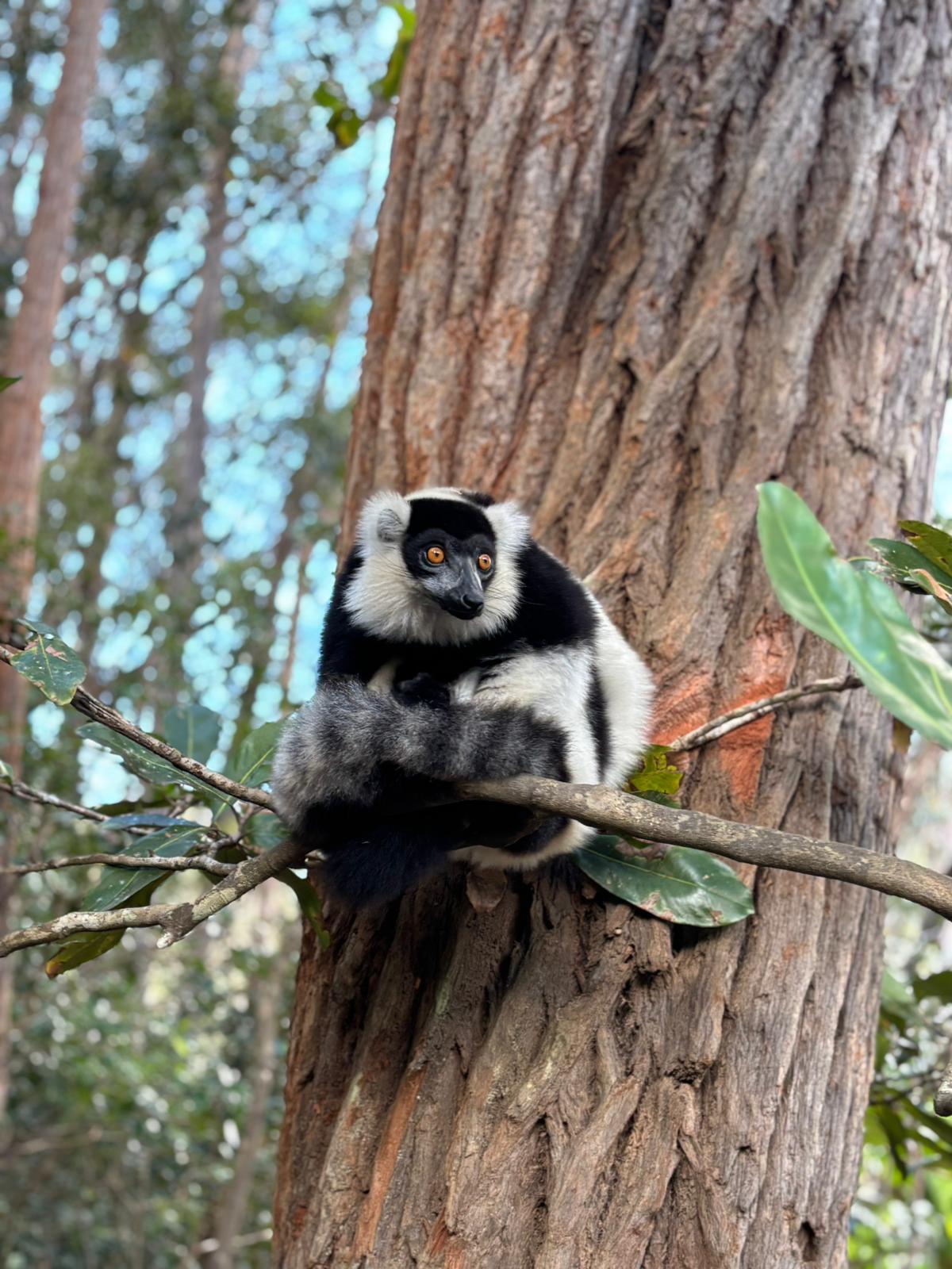 update tourisme Madagascar